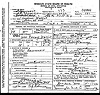 Andrew-Bud-Wallis-Death-certificate-1 Andrew-Bud-Wallis-Death-certificate-1