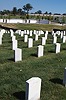 Benjamin Lewis back of gravestone in foreground #19 9788